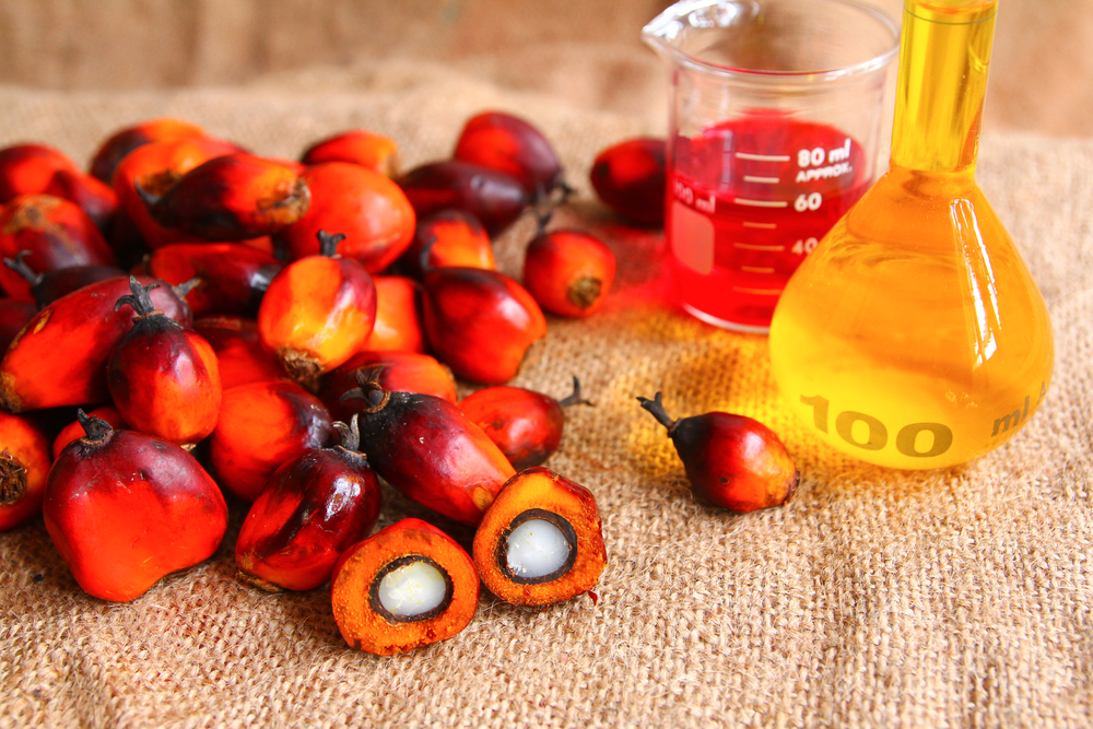 Palm Oil