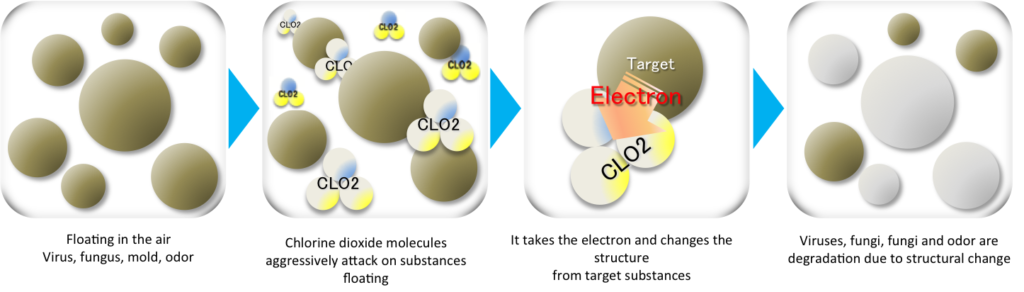 nanoclo 2